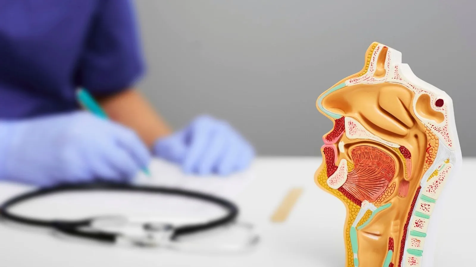 Ear, Nose, and Throat Diseases
