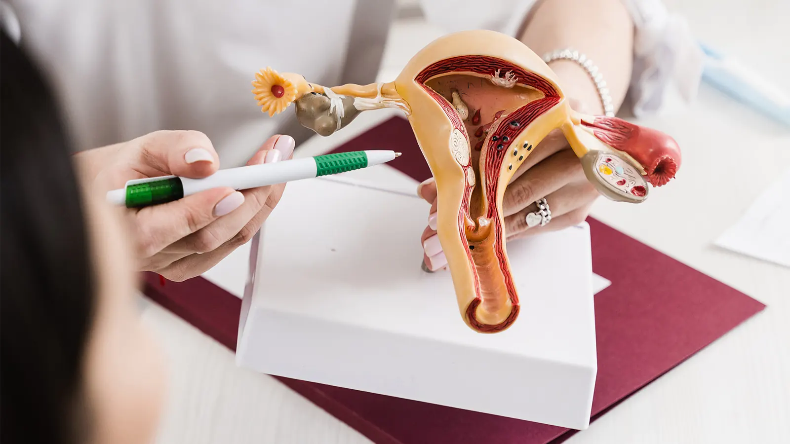 Reproductive Endocrinology and Infertility