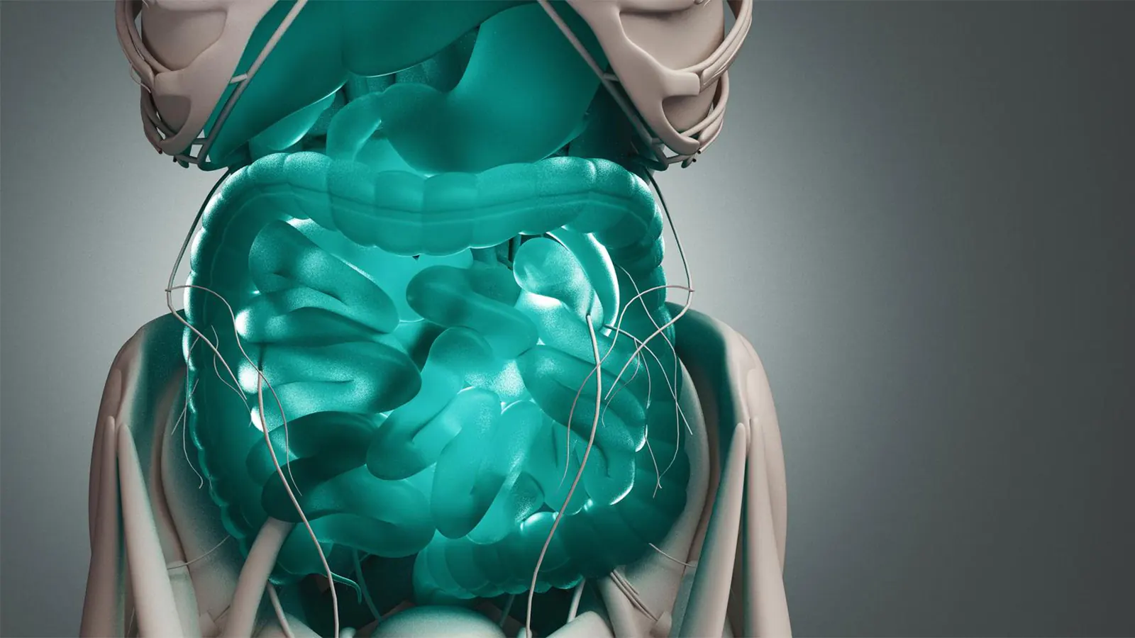Biliopancreatic Diversion with Duodenal Switch (BPD/DS)